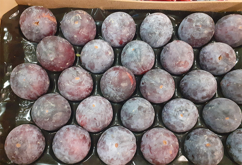 Susine Angeleno cal 45+ - Italia - 1,50/2,00 euro al chilogrammo